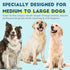 4 Pack, 2 2 Dog Toothbrush Kit Ultra Soft Dog Tooth Brush for Medium to Large Dogs & Cats, Pet Tooth Brushing Kit