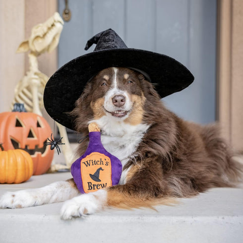 Huxley & Kent Halloween Power Plush Dog Toy, Squeaker Included, Fun and Durable Gift for Dogs, H&K Squeaky Toys