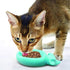 SPOT Doc & Phoebe's Wet Feeder for Cats, Veterinarian Designed Interactive Feeder Toy Mouse