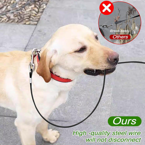 2 Pack Heavy Duty Chew Proof Dog Leash Extension Metal Cable Lead, Non-Tangle Connect Leash, Black Dog Leash Extender