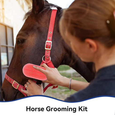 Beufee 10 Set Set Pieces Horse Grooming Kit, Tack Room Supplies Horse Brush Horse Bathing Supplies for Horse Riders