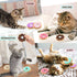 6 Pack Donut Catnip Toys, Interactive Pillows for Kittens, Chew Knickknack, Plush Plaything, 4 Inches