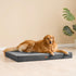 EHEYCIGA Orthopedic Memory Foam Dog Beds for Jumbo Dogs with Removable Waterproof Liner, Dark Grey, 47x29