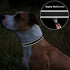 TagME Dog Collars - Adjustable Reflective Nylon Pet Collar with Quick Release Buckle for Medium Dogs, Black, 1.0" Width