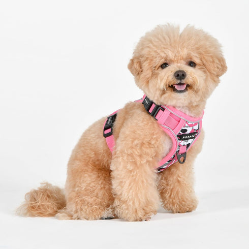 Puppia Abstract Dog Harness H, Adjustable Neck and Chest, Reflective Paint Pattern, Front and Back D-Ring for Small and