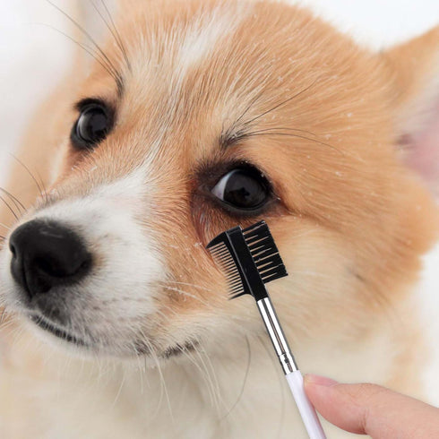 2PCS Double-Headed Dog Eye Comb, Soft Bristles for Tear Stain Removal and Pet Facial Grooming