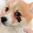 2PCS Double-Headed Dog Eye Comb, Soft Bristles for Tear Stain Removal and Pet Facial Grooming