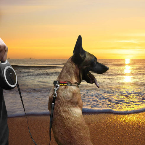 26Ft Retractable Dog Leash for Large Medium Dogs up to 110lbs, Heavy Duty with One-Handed Brake (MK-DEF)