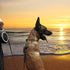 26Ft Retractable Dog Leash for Large Medium Dogs up to 110lbs, Heavy Duty with One-Handed Brake (MK-DEF)
