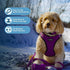 Voyager Step-in Air Dog Harness - Reflective, No Pull, All Weather Mesh for Small, Medium Dogs, Cats - Purple/Black