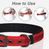 PetiFine Dog Collar with Metal Buckle, Heavy Duty Soft Neoprene Padded Adjustable Reflective Nylon for Small Medium