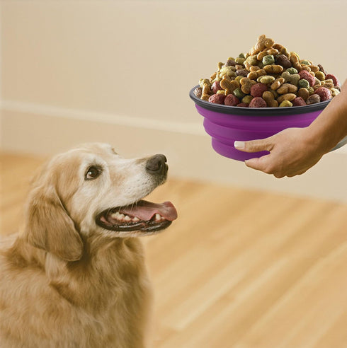 Large Collapsible Dog Bowls, 34oz Portable Foldable Travel Water Bowl Food Dishes, 2 Pack with Carabiner Clip,