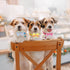 7 Pack Puppy Collars, Puppy ID Collars with Bell, Adjustable 8.3-13in, Cute Bow Soft Nylon Whelping Identification
