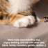 PetFusion Multipurpose Grooming Gloves - Puncture, Scratch & Water Resistant - Ideal for Vet Trips and Bathing