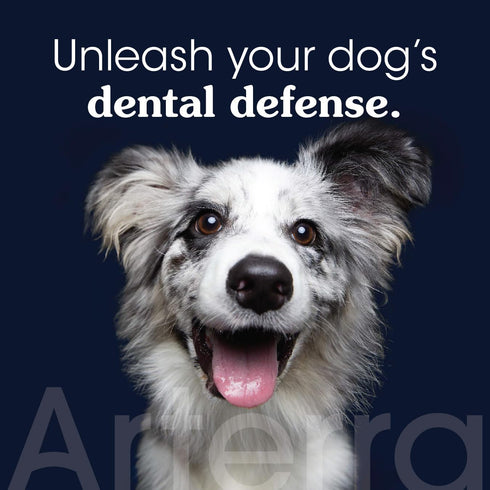 4oz Remineralizing Dog Toothpaste Vet-Grade, with Nano-Hydroxyapatite, Reverses Early-Stage Decay, Cleans Teeth