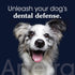 4oz Remineralizing Dog Toothpaste Vet-Grade, with Nano-Hydroxyapatite, Reverses Early-Stage Decay, Cleans Teeth
