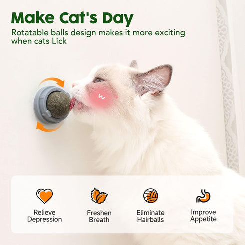 Potaroma 4 Pcs Catnip Ball Toys - 3 Silvervine Catnip Toys and 1 Edible Cat Energy Ball for All Breeds