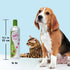 Pet Silk Rainforest Clean Scent Shampoo, 16oz, Long-Lasting Fragrance for Dogs & Cats, Gentle & Safe