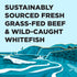 BIXBI Liberty Grain-Free Canned Wet Dog Food, Surf 'n Turf Recipe, 12.5 oz Cans (Pack of 12)