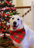 1 Pack Lionheart glory Dog Bandana Washable Soft Cotton Christmas Bibs Scarf, Adjustable Kerchief Square Dog Bandanas
