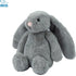 Best Pet Supplies Interactive Bunny Buddy Dog Toy, Crinkle and Squeaky Enrichment for Small/Medium Breed Puppies, Plush