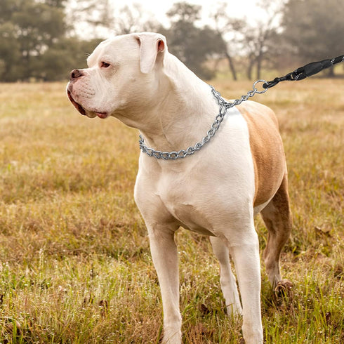 TagME Adjustable Chain Choke Collar for Dogs, Weather Proof Necklace for Extra Large Dogs