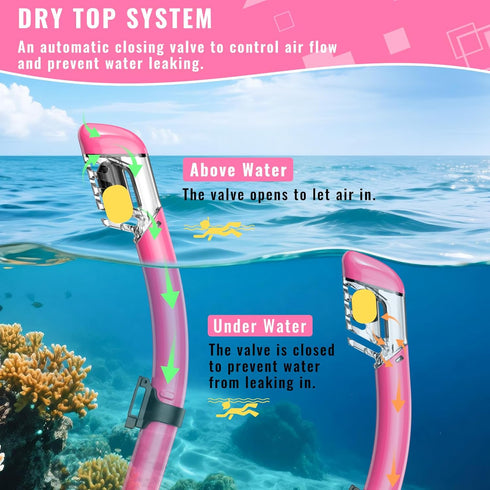 ForShine Set Swimming Packages Snorkeling Gear for Adults, Snorkel Scuba Diving mask Dry-Top, Adult Goggles w/Nose
