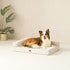 EHEYCIGA Memory Foam Orthopedic Dog Bed - Washable Bed with Waterproof Lining, Removable Cover, Nonskid Bottom, 36x27