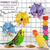 Budgie Toys, Parakeet Training Toy, Interactive Bird Educational Toy For Small Birds, Cockatiel Toys, Fun Parakeet