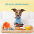 Dog Diggin Designs Runway Pup Collection - Unique Squeaky Plush Dog Toys, Prêt-à-Porter Dog Bones & More