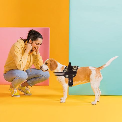 Dogline Reflective No-Pull Adjustable Harness with Handle for Walking, Training, Breathable, No-Choke Vest for Small,