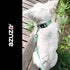 azuza Dog Collar and Leash Set - Cute Patterns on Nylon Collar and Matching Leash for Medium Dogs