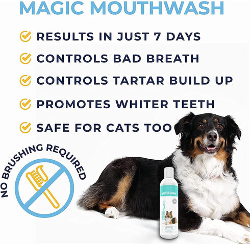 (8 oz) Alpha Paw Magic Mouthwash for Dogs, Natural Water Additive, Canine Breath Freshener, Dog Essentials for Plaque