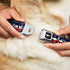 Dog Collar Seatbelt Buckle Mustang Text Tri Bar Stripe 1.5 Inch Wide, 13 to 18 Inches