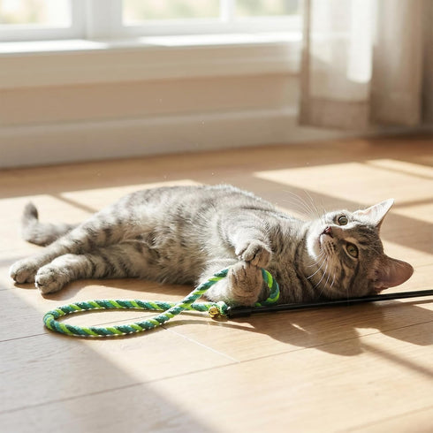 Xthrotsenk 3Pcs Cat Teaser Wand Cat Rope Toy Colorful Cats Rope Toy Interactive Kitten String Wands Ropes Toys