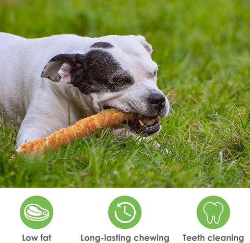 MON2SUN 9 Inch 38.8oz (10 Count-Pack 1) Dog Treats, Chicken Wrapped Rawhide Rolls Snacks, Teeth Cleaning and Long