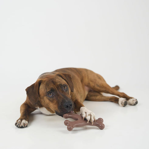 SPOT Bam-Bones Wishbone - Durable Long Lasting Dog Chew for Light to Moderate Chewers, 7in, Bacon Flavor