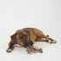 SPOT Bam-Bones Wishbone - Durable Long Lasting Dog Chew for Light to Moderate Chewers, 7in, Bacon Flavor