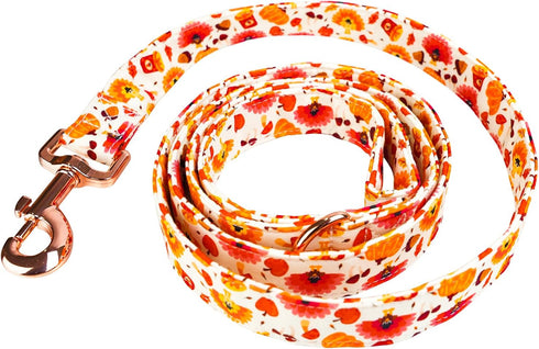 Dog Leash with Pumpkin and Turkey Pattern, Durable Stylish Thanksgiving Pet Leash for Daily Walking, Available in