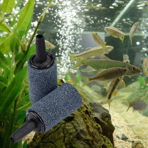 50 Pack 1 Inch Air Stone, Fine Cylinder Bubble Diffuser for Fish Tank Bubbler Air Pump Accessories