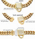 Gold Dog Chain Collar, 10mm Wide Cuban Link Puppy Collar with CZ Diamond Lock for Medium Dogs (14inch)
