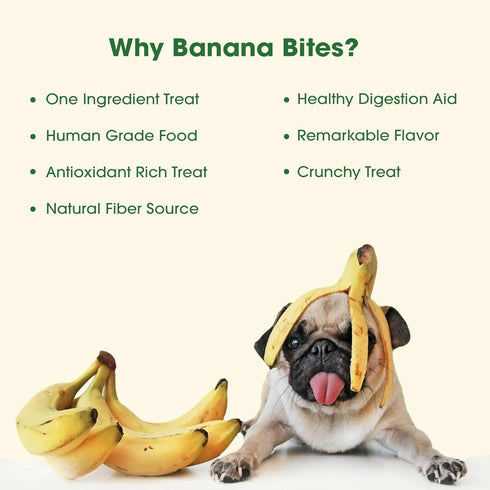 Dehydrated Bananas, Pure Treats, Small Batch Dehydrated, Considered a Super Food