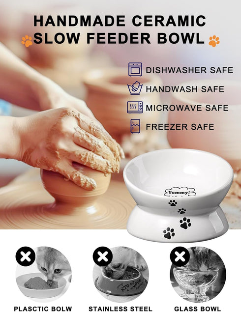 Y YHY Raised Cat Food Bowls, Anti Vomiting Tilted Elevated Ceramic Bowl for Flat Faced Cats, Small Dogs, Dishwasher Safe