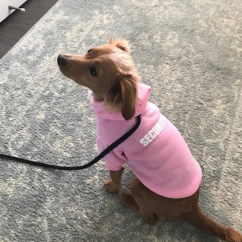 BINGPET Security Dog Hoodies, Puppy Sweater, Cold Weather Dog Coats, Soft Brushed Fleece, Hooded Sweatshirt for Dog Cat