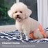 Dogs,(4 Pack) Vecomfy Reusable Female Dog Diapers for Medium Easy Absorbent Medium Doggie Diapers for Peeing