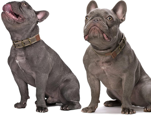 Canvas Handmade Vintage Dog Collar, Soft Breathable Adjustable Pet Collar Covers for Small Medium Dogs, Khaki, M