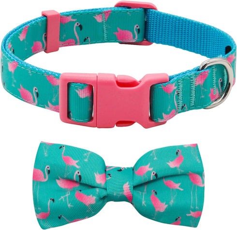 azuza Bowtie Dog Collar - Soft & Comfy Dog Collar with Bow, Fun Patterns & Bright Color for Small Dogs