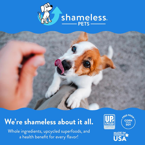 Shameless Pets Dog Training Treats - Bone Broth Chews (Bacon Hits Different) for Healthy Puppy Training