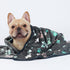 Luciphia 1 Pack 3 Blankets, Fluffy Premium Fleece Pet Blanket Flannel Paw Printed Throw for Dog Cat (Small 23x16'',