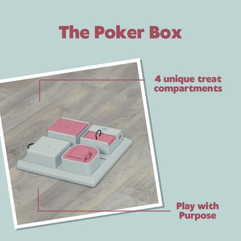 4 12.2 12.2 2.5 TRIXIE Cat Activity Poker Box Strategy Game Interactive Puzzle Toy with Modules Treat Puzzle Feeder